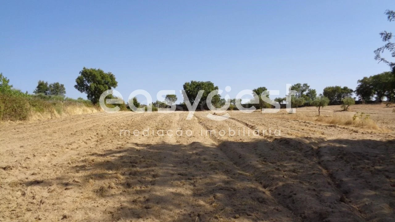 Terreno Agricola ou Rústico para Venda em São Miguel de Acha Foto 21
