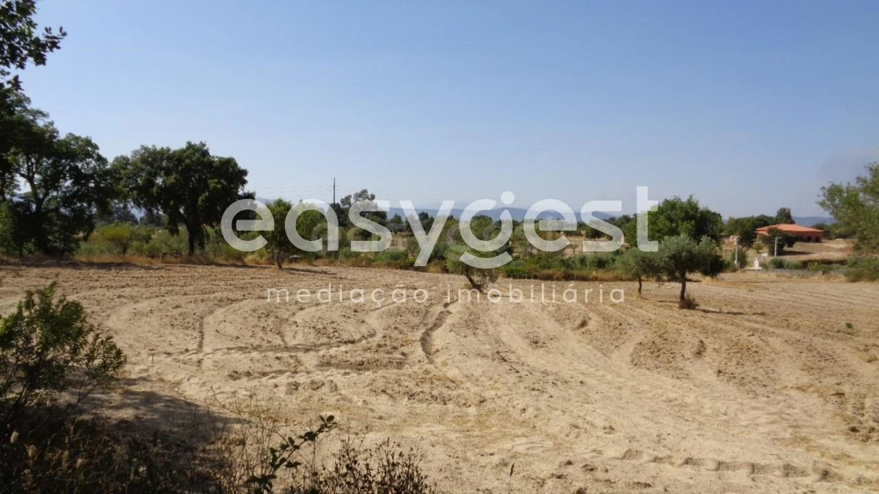 Terreno Agricola ou Rústico para Venda em São Miguel de Acha Foto 22