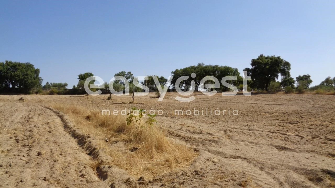Terreno Agricola ou Rústico para Venda em São Miguel de Acha Foto 24