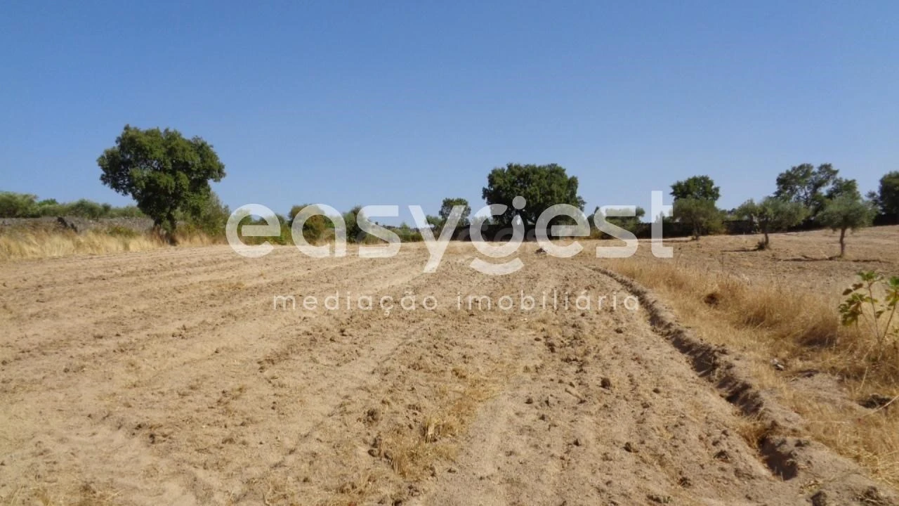 Terreno Agricola ou Rústico para Venda em São Miguel de Acha Foto 25