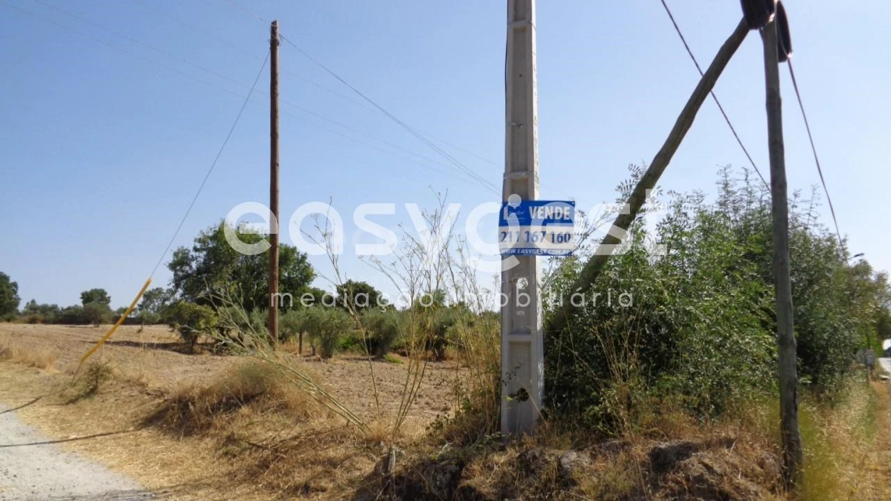 Terreno Agricola ou Rústico para Venda em São Miguel de Acha Foto 26