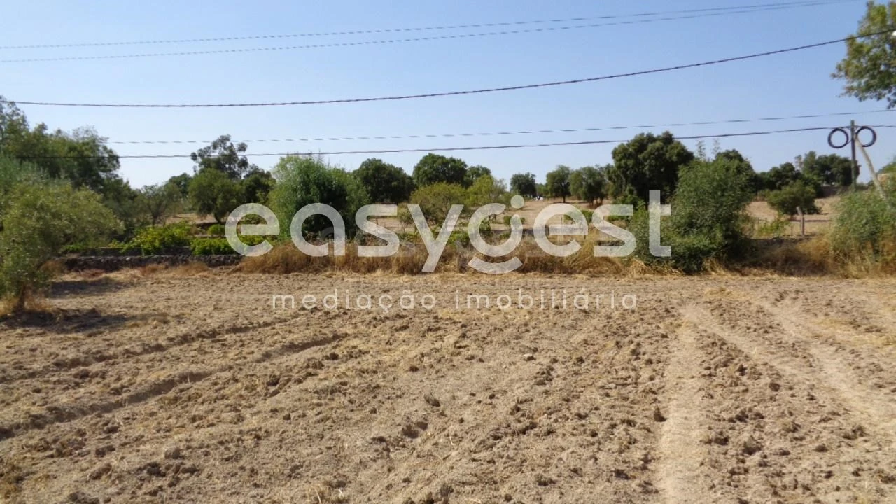 Terreno Agricola ou Rústico para Venda em São Miguel de Acha Foto 27