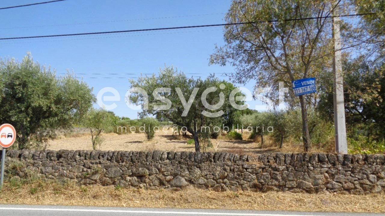 Terreno Agricola ou Rústico para Venda em São Miguel de Acha Foto 31