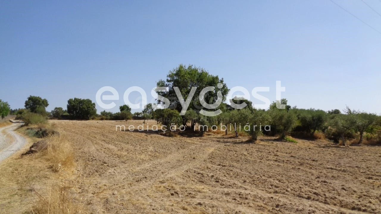 Terreno Agricola ou Rústico para Venda em São Miguel de Acha Foto 33