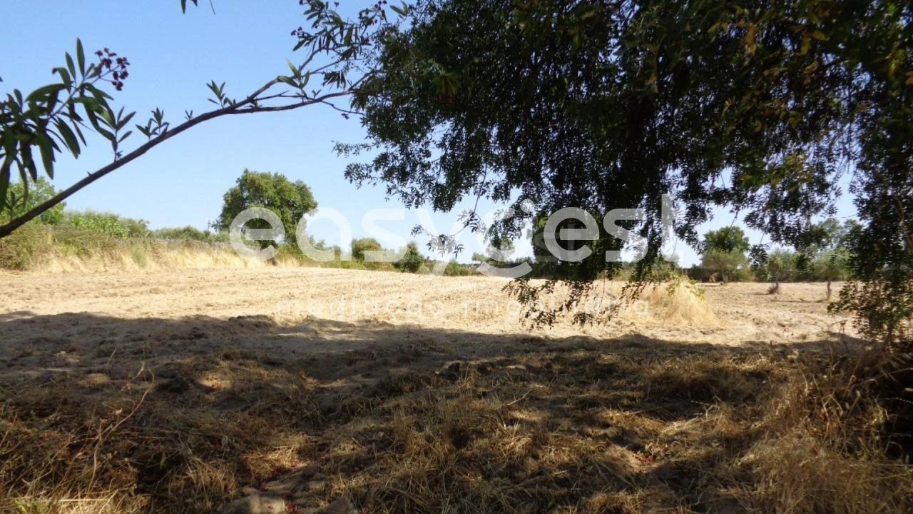 Terreno Agricola ou Rústico para Venda em São Miguel de Acha Foto 35