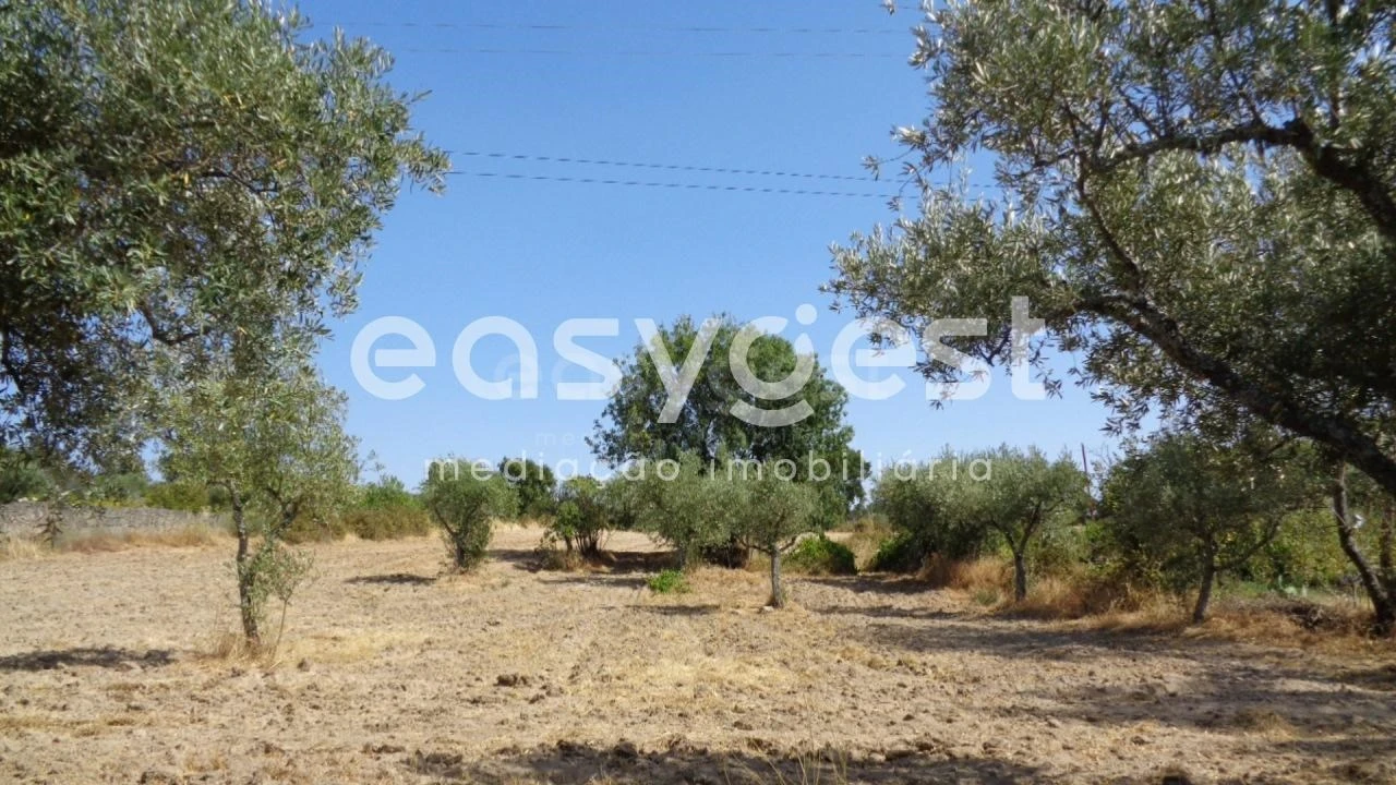 Terreno Agricola ou Rústico para Venda em São Miguel de Acha Foto 36