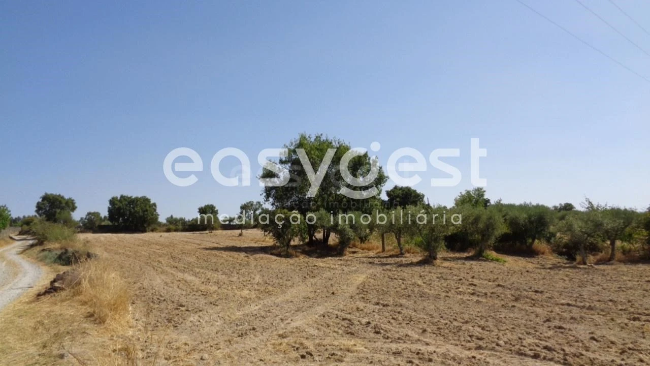 Terreno Agricola ou Rústico para Venda em São Miguel de Acha Foto 38