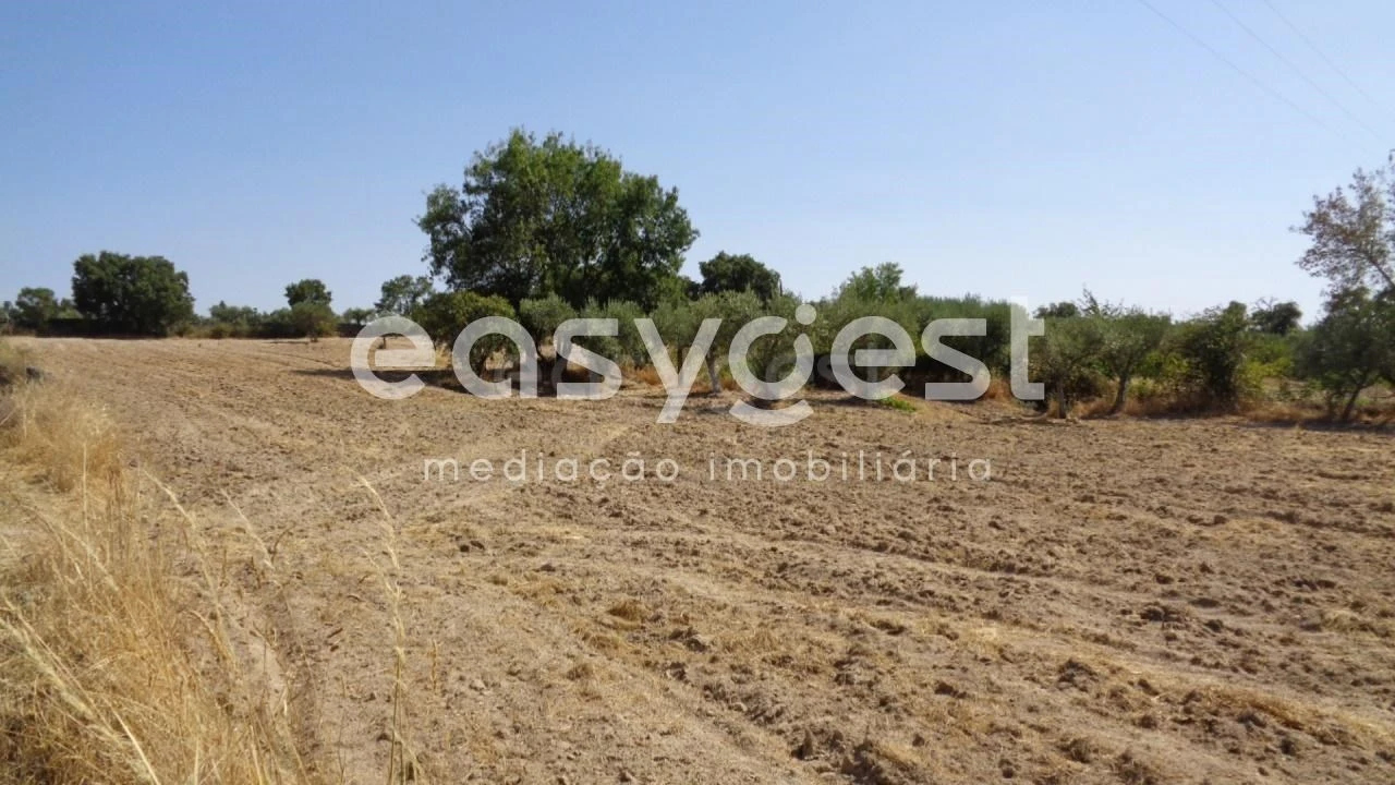 Terreno Agricola ou Rústico para Venda em São Miguel de Acha Foto 39