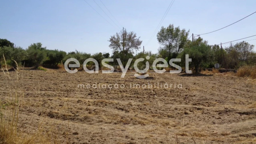 Terreno Agricola ou Rústico para Venda em São Miguel de Acha Foto 5