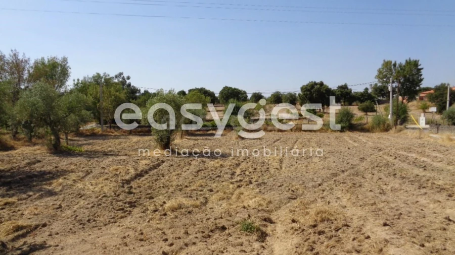 Terreno Agricola ou Rústico para Venda em São Miguel de Acha Foto 8
