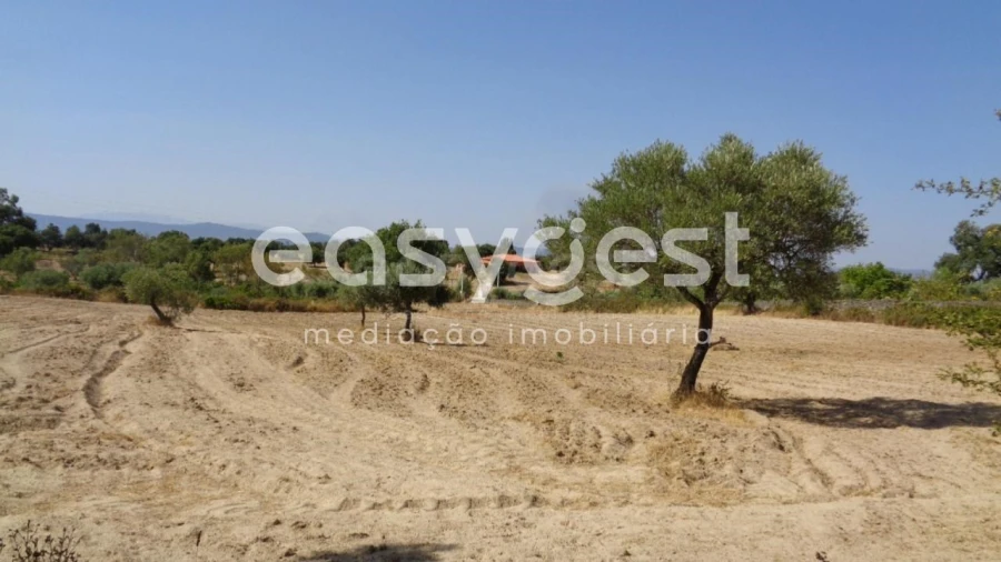 Terreno Agricola ou Rústico para Venda em São Miguel de Acha Foto 10