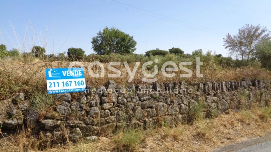 Terreno Agricola ou Rústico para Venda em São Miguel de Acha Foto 13