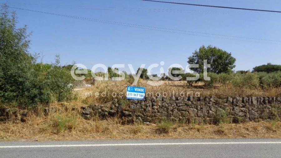 Terreno Agricola ou Rústico para Venda em São Miguel de Acha Foto 14