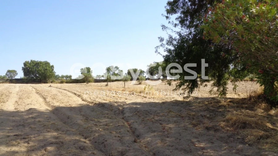 Terreno Agricola ou Rústico para Venda em São Miguel de Acha Foto 16