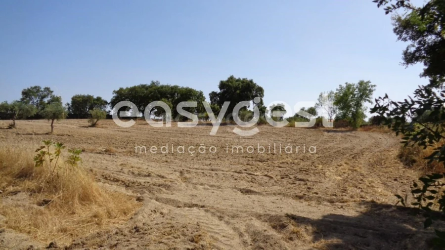 Terreno Agricola ou Rústico para Venda em São Miguel de Acha Foto 17