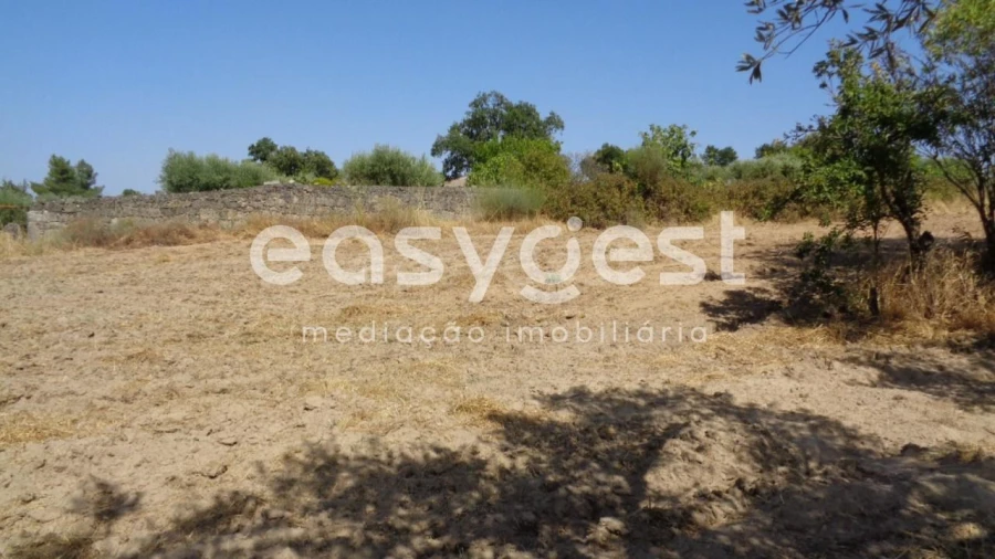 Terreno Agricola ou Rústico para Venda em São Miguel de Acha Foto 19
