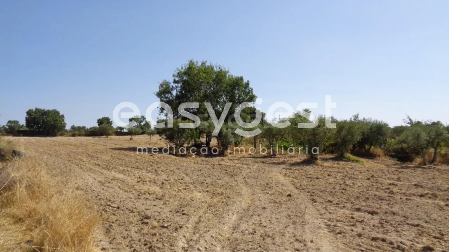 Terreno Agricola ou Rústico para Venda em São Miguel de Acha Foto 20