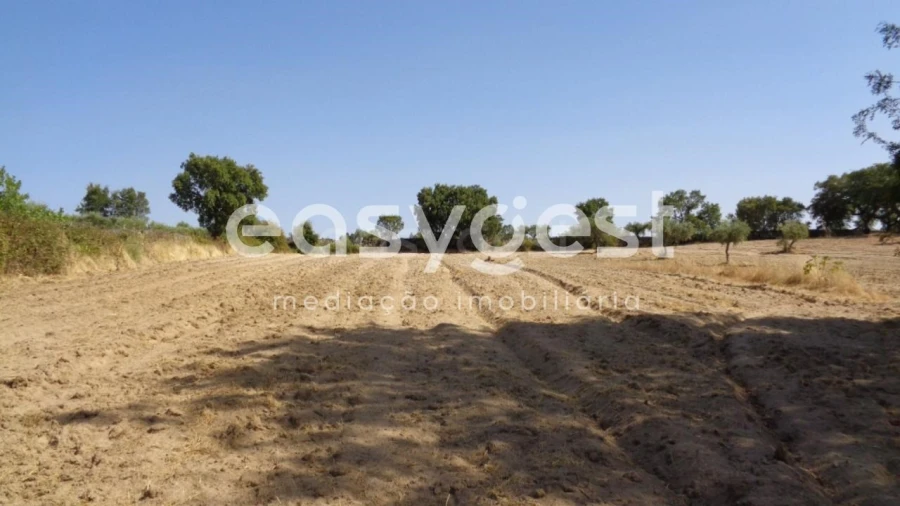 Terreno Agricola ou Rústico para Venda em São Miguel de Acha Foto 21