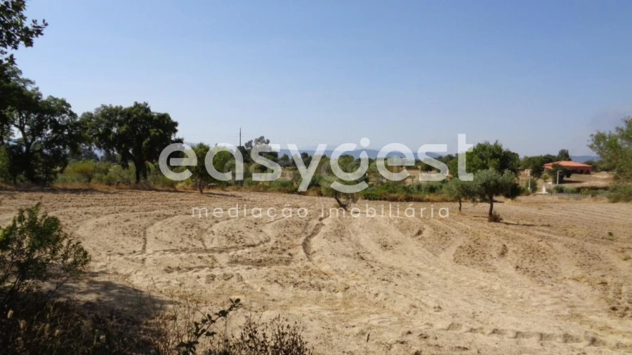 Terreno Agricola ou Rústico para Venda em São Miguel de Acha Foto 22