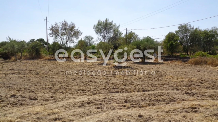 Terreno Agricola ou Rústico para Venda em São Miguel de Acha Foto 23