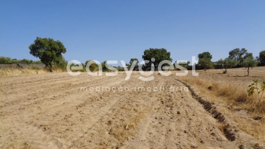 Terreno Agricola ou Rústico para Venda em São Miguel de Acha Foto 25