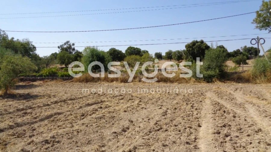 Terreno Agricola ou Rústico para Venda em São Miguel de Acha Foto 27