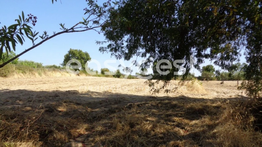 Terreno Agricola ou Rústico para Venda em São Miguel de Acha Foto 35
