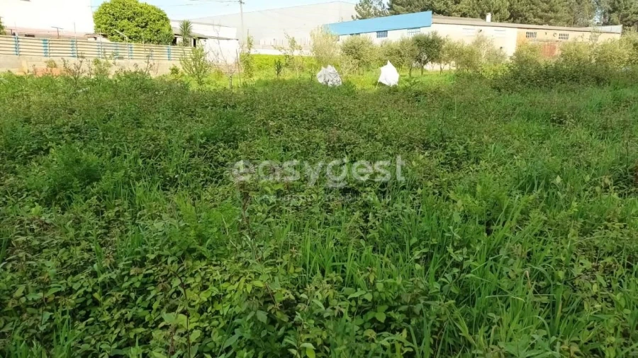 Terreno Agricola ou Rústico para Venda em Leiria, Pousos, Barreira e Cortes Foto 2