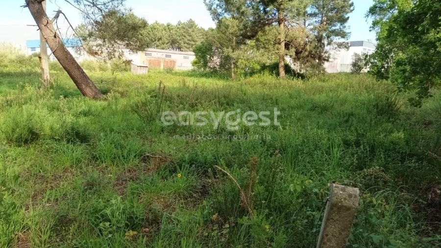 Terreno Agricola ou Rústico para Venda em Leiria, Pousos, Barreira e Cortes Foto 3