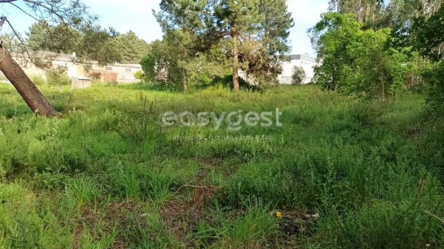 Terreno Agricola ou Rústico para Venda em Leiria, Pousos, Barreira e Cortes Foto 6