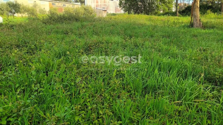 Terreno Agricola ou Rústico para Venda em Leiria, Pousos, Barreira e Cortes Foto 9