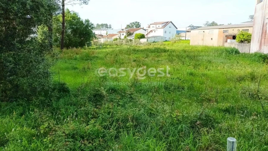 Terreno Agricola ou Rústico para Venda em Leiria, Pousos, Barreira e Cortes Foto 12