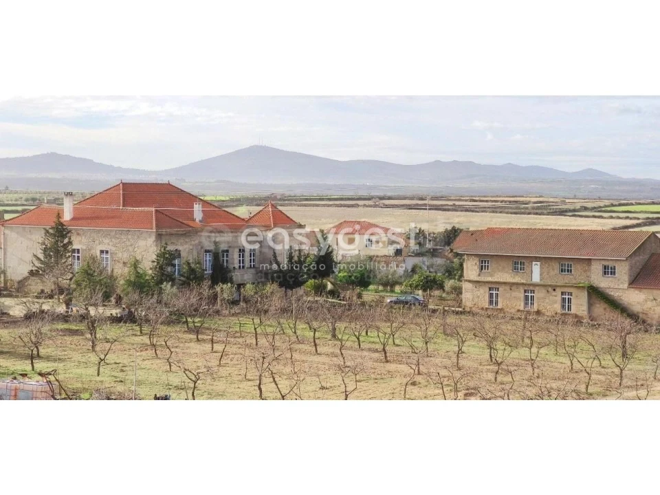 Moradia T11 para Venda em Escalhão Foto 18