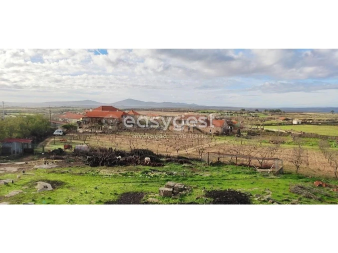 Moradia T11 para Venda em Escalhão Foto 22