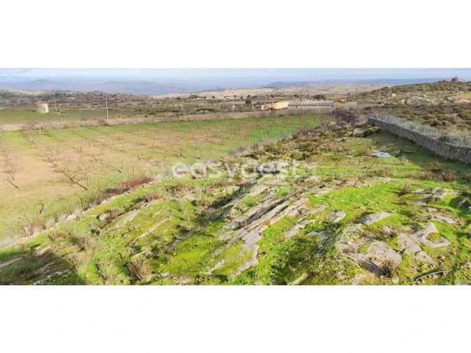 Moradia T11 para Venda em Escalhão Foto 23