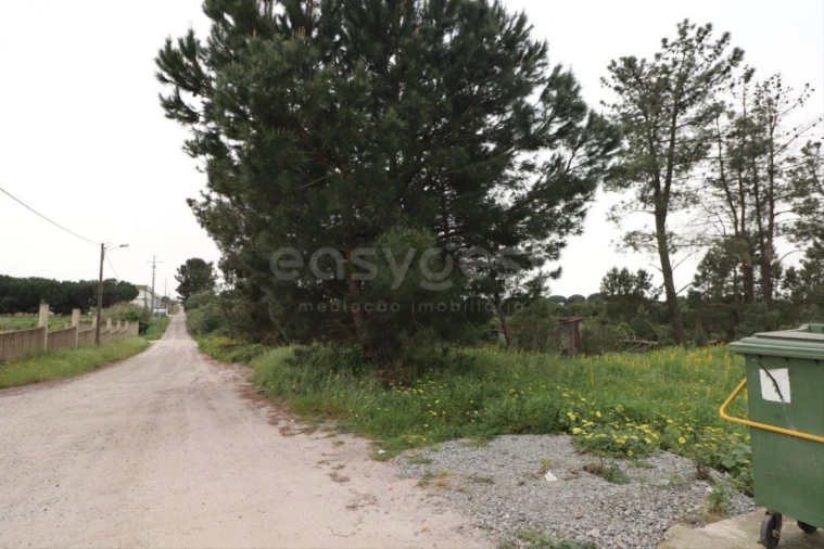 Terreno Agricola ou Rústico para Venda em Pegões Foto 5