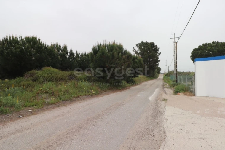 Terreno Agricola ou Rústico para Venda em Pegões Foto 8