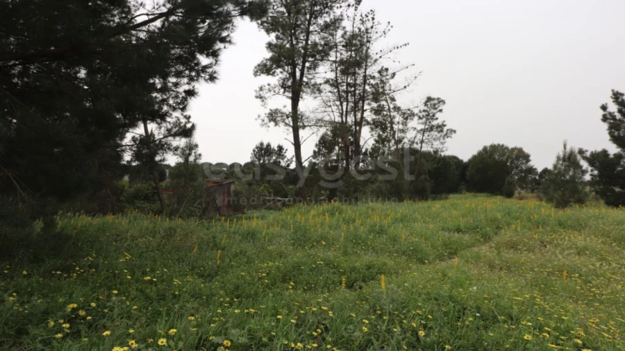 Terreno Agricola ou Rústico para Venda em Pegões