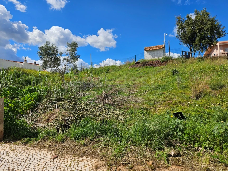Terreno para Venda em Silves Foto 4