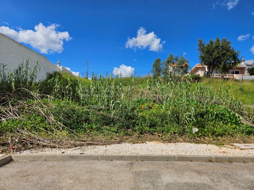 Terreno para Venda em Silves Foto 7