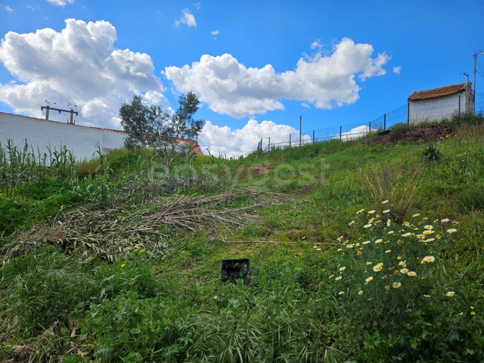 Terreno para Venda em Silves Foto 11