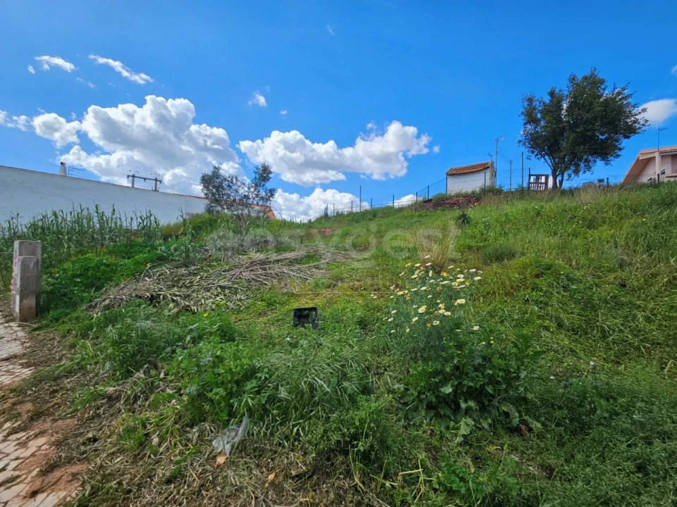 Terreno para Venda em Silves Foto 12