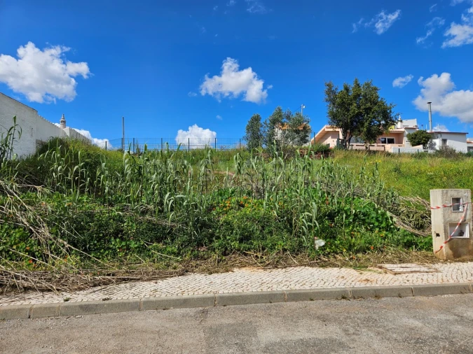 Terreno para Venda em Silves Foto 6