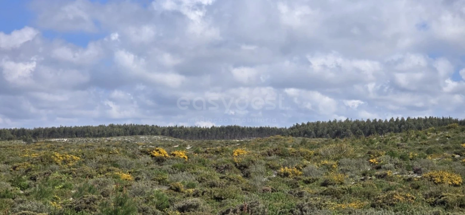 Terreno para Venda em Pataias e Martingança Foto 9