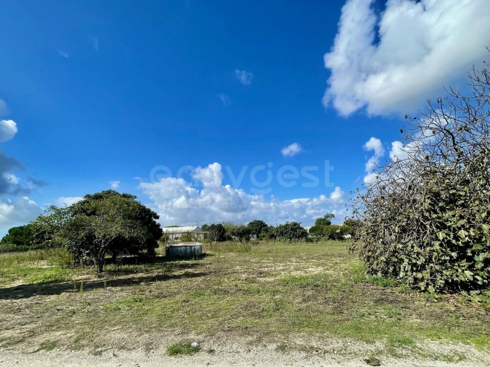 Terreno para Venda em Pegões Foto 2