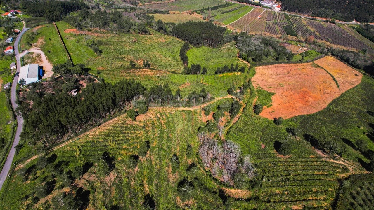 Terreno para Venda em Maiorga Foto 2