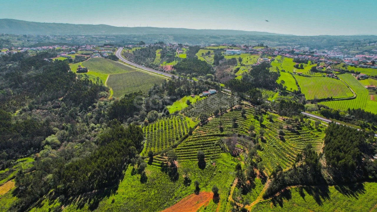 Terreno para Venda em Maiorga Foto 7
