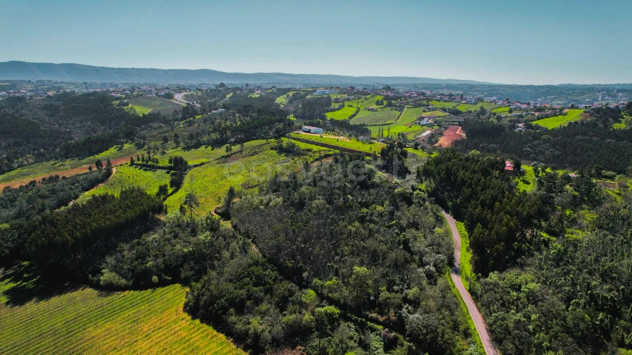 Terreno para Venda em Maiorga Foto 10