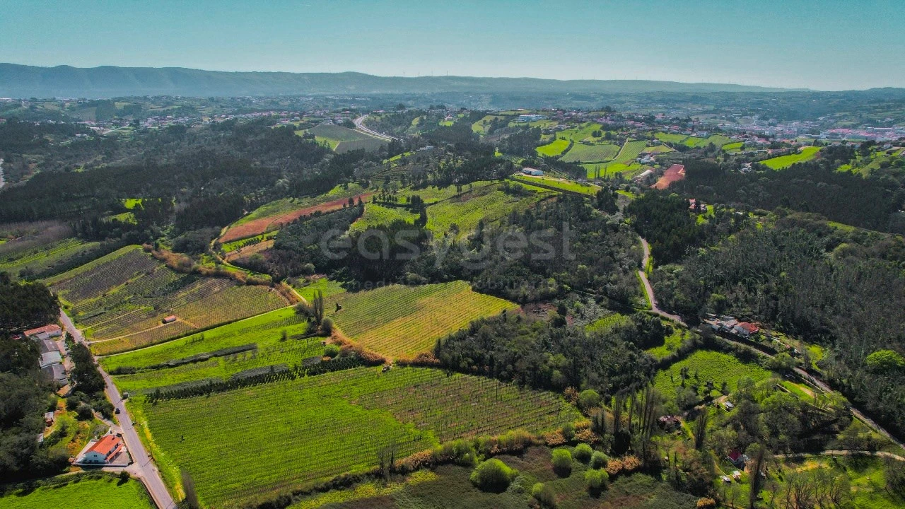 Terreno para Venda em Maiorga Foto 12