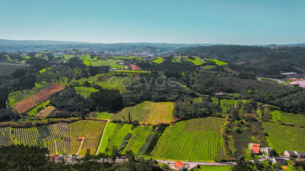Terreno para Venda em Maiorga Foto 13